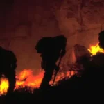 The Alexander Mountain Fire: A Blaze That Changed the Landscape