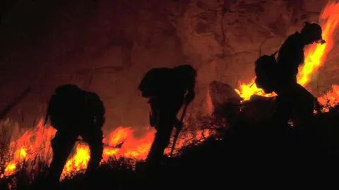 The Alexander Mountain Fire: A Blaze That Changed the Landscape