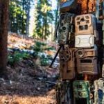 Trail Cameras