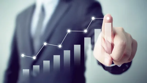 Dulcfold Com: A Complete Guide to Features, Benefits, and Online Growth Potential