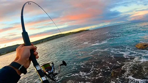 Drummer Fishing: The Complete Guide to Catching Black Drummer Like a Pro